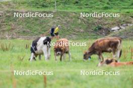 04.09.2024, Lenzerheide, Switzerland (SUI): Endre Stroemsheim (NOR), Tarjei Boe (NOR), (l-r) - Biathlon summer training, Lenzerheide (SUI). www.nordicfocus.com. © Manzoni/NordicFocus. Every downloaded picture is fee-liable.