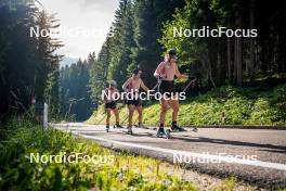 06.08.2024, Lavaze, Italy (ITA): Lisa Osl (AUT), Lara Wagner (AUT), Lea Rothschopf (AUT), (l-r)  - Biathlon summer training, Lavaze (ITA). www.nordicfocus.com. © Barbieri/NordicFocus. Every downloaded picture is fee-liable.