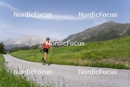 19.06.2024, Lavaze, Italy (ITA): Dorothea Wierer (ITA) - Biathlon summer training, Lavaze (ITA). www.nordicfocus.com. © Vanzetta/NordicFocus. Every downloaded picture is fee-liable.