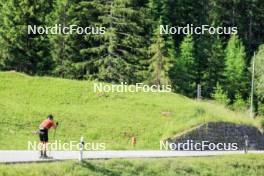 27.06.2024, Juf, Switzerland (SUI): Joscha Burkhalter (SUI) - Biathlon summer training, Juf (SUI). www.nordicfocus.com. © Manzoni/NordicFocus. Every downloaded picture is fee-liable.