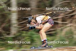 22.09.2024, Premanon, France (FRA): Axelle Vignon (FRA) - Biathlon Samse Summer Tour, individual, Premanon (FRA). www.nordicfocus.com. © Manzoni/NordicFocus. Every downloaded picture is fee-liable.