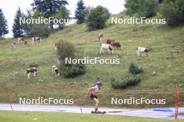 22.09.2024, Premanon, France (FRA): Elisa Gasparin (SUI) - Biathlon Samse Summer Tour, pursuit, Premanon (FRA). www.nordicfocus.com. © Manzoni/NordicFocus. Every downloaded picture is fee-liable.