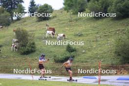 22.09.2024, Premanon, France (FRA): Amandine Mengin (FRA), Lea Meier (SUI), (l-r) - Biathlon Samse Summer Tour, pursuit, Premanon (FRA). www.nordicfocus.com. © Manzoni/NordicFocus. Every downloaded picture is fee-liable.