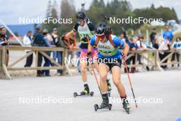 22.09.2024, Premanon, France (FRA): Esteban Moreira (FRA) - Biathlon Samse Summer Tour, pursuit, Premanon (FRA). www.nordicfocus.com. © Manzoni/NordicFocus. Every downloaded picture is fee-liable.