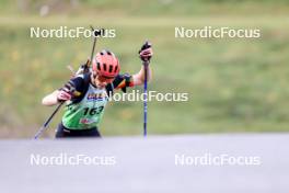 21.09.2024, Premanon, France (FRA): Louis Debloem (BEL) - Biathlon Samse Summer Tour, sprint, Premanon (FRA). www.nordicfocus.com. © Manzoni/NordicFocus. Every downloaded picture is fee-liable.