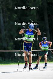 25.08.2024, Otepaeae, Estonia (EST): Alfred Eriksson (SWE) - IBU Summer Biathlon World Championships, mass men, Otepaeae (EST). www.nordicfocus.com. © Manzoni/NordicFocus. Every downloaded picture is fee-liable.