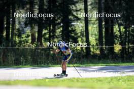 25.08.2024, Otepaeae, Estonia (EST): Oscar Andersson (SWE) - IBU Summer Biathlon World Championships, mass men, Otepaeae (EST). www.nordicfocus.com. © Manzoni/NordicFocus. Every downloaded picture is fee-liable.