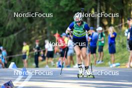 25.08.2024, Otepaeae, Estonia (EST): Suvi Minkkinen (FIN) - IBU Summer Biathlon World Championships, mass women, Otepaeae (EST). www.nordicfocus.com. © Manzoni/NordicFocus. Every downloaded picture is fee-liable.