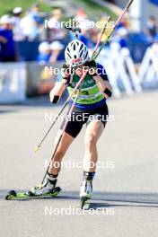 25.08.2024, Otepaeae, Estonia (EST): Suvi Minkkinen (FIN) - IBU Summer Biathlon World Championships, mass women, Otepaeae (EST). www.nordicfocus.com. © Manzoni/NordicFocus. Every downloaded picture is fee-liable.