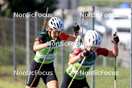 25.08.2024, Otepaeae, Estonia (EST): Lotte Lie (BEL) - IBU Summer Biathlon World Championships, mass women, Otepaeae (EST). www.nordicfocus.com. © Manzoni/NordicFocus. Every downloaded picture is fee-liable.