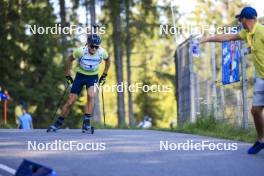 25.08.2024, Otepaeae, Estonia (EST): Vitalii Mandzyn (UKR) - IBU Summer Biathlon World Championships, pursuit junior men, Otepaeae (EST). www.nordicfocus.com. © Manzoni/NordicFocus. Every downloaded picture is fee-liable.