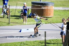 25.08.2024, Otepaeae, Estonia (EST): Vitalii Mandzyn (UKR) - IBU Summer Biathlon World Championships, pursuit junior men, Otepaeae (EST). www.nordicfocus.com. © Manzoni/NordicFocus. Every downloaded picture is fee-liable.