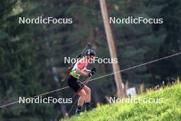 24.08.2024, Otepaeae, Estonia (EST): Fabian Suchodolski (POL) - IBU Summer Biathlon World Championships, sprint junior men, Otepaeae (EST). www.nordicfocus.com. © Manzoni/NordicFocus. Every downloaded picture is fee-liable.