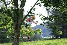 24.08.2024, Otepaeae, Estonia (EST): Laszlo Kunos (HUN) - IBU Summer Biathlon World Championships, sprint junior men, Otepaeae (EST). www.nordicfocus.com. © Manzoni/NordicFocus. Every downloaded picture is fee-liable.