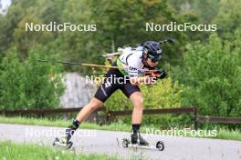 24.08.2024, Otepaeae, Estonia (EST): Mark-Markos Kehva (EST) - IBU Summer Biathlon World Championships, sprint junior men, Otepaeae (EST). www.nordicfocus.com. © Manzoni/NordicFocus. Every downloaded picture is fee-liable.