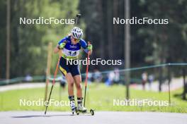 24.08.2024, Otepaeae, Estonia (EST): Polina Putsko (UKR) - IBU Summer Biathlon World Championships, sprint junior women, Otepaeae (EST). www.nordicfocus.com. © Manzoni/NordicFocus. Every downloaded picture is fee-liable.