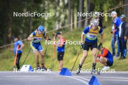 24.08.2024, Otepaeae, Estonia (EST): Otto Invenius (FIN) - IBU Summer Biathlon World Championships, sprint men, Otepaeae (EST). www.nordicfocus.com. © Manzoni/NordicFocus. Every downloaded picture is fee-liable.