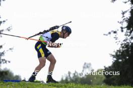 24.08.2024, Otepaeae, Estonia (EST): Dmytro Pidruchnyi (UKR) - IBU Summer Biathlon World Championships, sprint men, Otepaeae (EST). www.nordicfocus.com. © Manzoni/NordicFocus. Every downloaded picture is fee-liable.