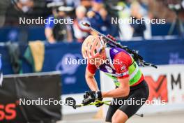 22.08.2024, Otepaeae, Estonia (EST): David Elias (CZE) - IBU Summer Biathlon World Championships, super sprint junior men, Otepaeae (EST). www.nordicfocus.com. © Manzoni/NordicFocus. Every downloaded picture is fee-liable.