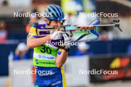 22.08.2024, Otepaeae, Estonia (EST): Victor Berglund (SWE) - IBU Summer Biathlon World Championships, super sprint junior men, Otepaeae (EST). www.nordicfocus.com. © Manzoni/NordicFocus. Every downloaded picture is fee-liable.