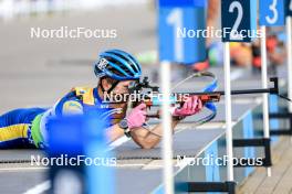 23.08.2024, Otepaeae, Estonia (EST): Oskar Ohlsson (SWE) - IBU Summer Biathlon World Championships, super sprint men, Otepaeae (EST). www.nordicfocus.com. © Manzoni/NordicFocus. Every downloaded picture is fee-liable.