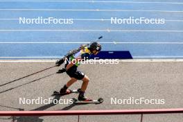 23.08.2024, Otepaeae, Estonia (EST): Emilien Claude (FRA) - IBU Summer Biathlon World Championships, super sprint men, Otepaeae (EST). www.nordicfocus.com. © Manzoni/NordicFocus. Every downloaded picture is fee-liable.