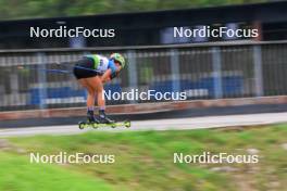 21.08.2024, Otepaeae, Estonia (EST): Undefined Mongolian athlete competes - IBU Summer Biathlon World Championships, training, Otepaeae (EST). www.nordicfocus.com. © Manzoni/NordicFocus. Every downloaded picture is fee-liable.