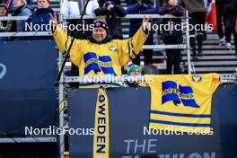 14.02.2024, Nove Mesto na Morave, Czechia (CZE): Event Feature: Swedish fan - IBU World Championships Biathlon, individual men, Nove Mesto na Morave (CZE). www.nordicfocus.com. © Manzoni/NordicFocus. Every downloaded picture is fee-liable.