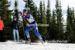 17.11.2024, Sjusjoen, Norway (NOR): Ask Haughovd (NOR) - Biathlon Season Opening, mass, Sjusjoen (NOR). www.nordicfocus.com. © Nordnes/NordicFocus. Every downloaded picture is fee-liable.