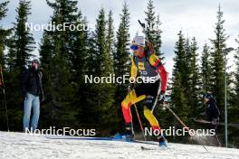 17.11.2024, Sjusjoen, Norway (NOR): Sam Parmantier (BEL) - Biathlon Season Opening, mass, Sjusjoen (NOR). www.nordicfocus.com. © Nordnes/NordicFocus. Every downloaded picture is fee-liable.