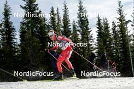 17.11.2024, Sjusjoen, Norway (NOR): Undefined athlete competes - Biathlon Season Opening, mass, Sjusjoen (NOR). www.nordicfocus.com. © Nordnes/NordicFocus. Every downloaded picture is fee-liable.