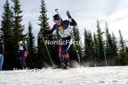 17.11.2024, Sjusjoen, Norway (NOR): Haavard Tosterud (NOR) - Biathlon Season Opening, mass, Sjusjoen (NOR). www.nordicfocus.com. © Nordnes/NordicFocus. Every downloaded picture is fee-liable.