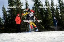 17.11.2024, Sjusjoen, Norway (NOR): César Beauvais (BEL) - Biathlon Season Opening, mass, Sjusjoen (NOR). www.nordicfocus.com. © Nordnes/NordicFocus. Every downloaded picture is fee-liable.