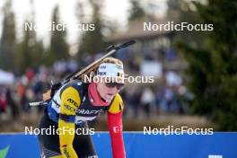 17.11.2024, Sjusjoen, Norway (NOR): Maya Cloetens (BEL) - Biathlon Season Opening, mass, Sjusjoen (NOR). www.nordicfocus.com. © Nordnes/NordicFocus. Every downloaded picture is fee-liable.