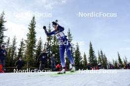 17.11.2024, Sjusjoen, Norway (NOR): Elida Fuglem (NOR) - Biathlon Season Opening, mass, Sjusjoen (NOR). www.nordicfocus.com. © Nordnes/NordicFocus. Every downloaded picture is fee-liable.