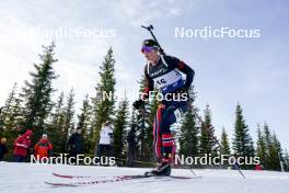 17.11.2024, Sjusjoen, Norway (NOR): Aasne Skrede (NOR) - Biathlon Season Opening, mass, Sjusjoen (NOR). www.nordicfocus.com. © Nordnes/NordicFocus. Every downloaded picture is fee-liable.