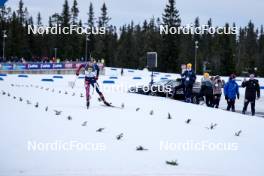 17.11.2024, Sjusjoen, Norway (NOR): Endre Stroemsheim (NOR) - Biathlon Season Opening, mass, Sjusjoen (NOR). www.nordicfocus.com. © Nordnes/NordicFocus. Every downloaded picture is fee-liable.