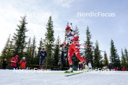 17.11.2024, Sjusjoen, Norway (NOR): Joanna Jakiela (POL) - Biathlon Season Opening, mass, Sjusjoen (NOR). www.nordicfocus.com. © Nordnes/NordicFocus. Every downloaded picture is fee-liable.