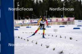 17.11.2024, Sjusjoen, Norway (NOR): César Beauvais (BEL) - Biathlon Season Opening, mass, Sjusjoen (NOR). www.nordicfocus.com. © Nordnes/NordicFocus. Every downloaded picture is fee-liable.