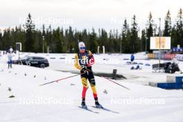 17.11.2024, Sjusjoen, Norway (NOR): Sam Parmantier (BEL) - Biathlon Season Opening, mass, Sjusjoen (NOR). www.nordicfocus.com. © Nordnes/NordicFocus. Every downloaded picture is fee-liable.