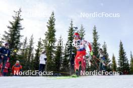 17.11.2024, Sjusjoen, Norway (NOR): Daria Gembicka (POL) - Biathlon Season Opening, mass, Sjusjoen (NOR). www.nordicfocus.com. © Nordnes/NordicFocus. Every downloaded picture is fee-liable.