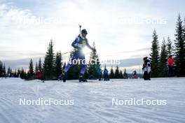 17.11.2024, Sjusjoen, Norway (NOR): Daniele Cappellari (ITA) - Biathlon Season Opening, mass, Sjusjoen (NOR). www.nordicfocus.com. © Nordnes/NordicFocus. Every downloaded picture is fee-liable.