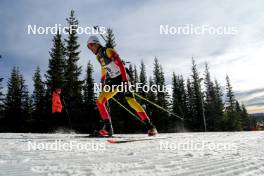 17.11.2024, Sjusjoen, Norway (NOR): Julien Petitjacques (BEL) - Biathlon Season Opening, mass, Sjusjoen (NOR). www.nordicfocus.com. © Nordnes/NordicFocus. Every downloaded picture is fee-liable.