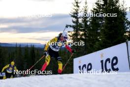 17.11.2024, Sjusjoen, Norway (NOR): Sam Parmantier (BEL) - Biathlon Season Opening, mass, Sjusjoen (NOR). www.nordicfocus.com. © Nordnes/NordicFocus. Every downloaded picture is fee-liable.