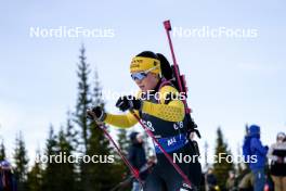 17.11.2024, Sjusjoen, Norway (NOR): Tuva Jorde (NOR) - Biathlon Season Opening, mass, Sjusjoen (NOR). www.nordicfocus.com. © Nordnes/NordicFocus. Every downloaded picture is fee-liable.