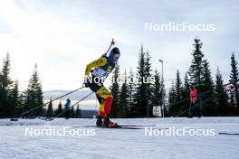 17.11.2024, Sjusjoen, Norway (NOR): Florent Claude (BEL) - Biathlon Season Opening, mass, Sjusjoen (NOR). www.nordicfocus.com. © Nordnes/NordicFocus. Every downloaded picture is fee-liable.