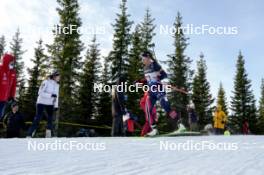 17.11.2024, Sjusjoen, Norway (NOR): Ragna Fodstad (NOR) - Biathlon Season Opening, mass, Sjusjoen (NOR). www.nordicfocus.com. © Nordnes/NordicFocus. Every downloaded picture is fee-liable.