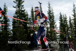 17.11.2024, Sjusjoen, Norway (NOR): Fredrik Vogt Vold (NOR) - Biathlon Season Opening, mass, Sjusjoen (NOR). www.nordicfocus.com. © Nordnes/NordicFocus. Every downloaded picture is fee-liable.