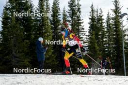 17.11.2024, Sjusjoen, Norway (NOR): Florent Claude (BEL) - Biathlon Season Opening, mass, Sjusjoen (NOR). www.nordicfocus.com. © Nordnes/NordicFocus. Every downloaded picture is fee-liable.