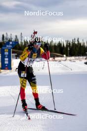 17.11.2024, Sjusjoen, Norway (NOR): Florent Claude (BEL) - Biathlon Season Opening, mass, Sjusjoen (NOR). www.nordicfocus.com. © Nordnes/NordicFocus. Every downloaded picture is fee-liable.